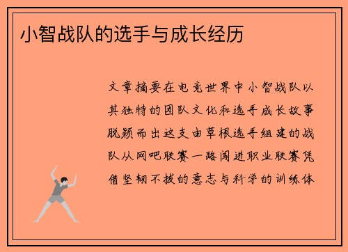 小智战队的选手与成长经历