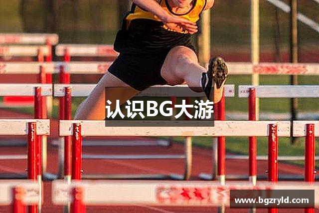 认识BG大游
